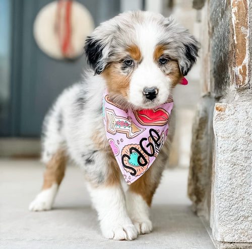 Cute Cookies Bandana