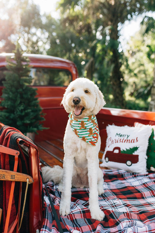 Gingerbread Man Bandana