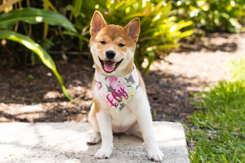Tropical & Gray Floral Bandana