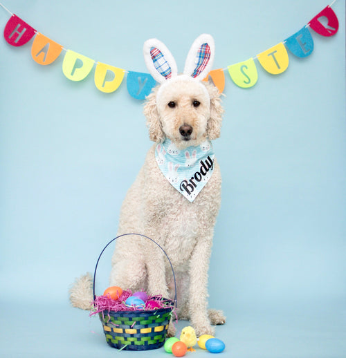 Easter Bunny Bandana