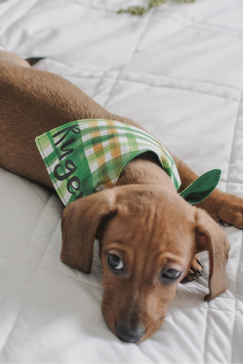 Irish Plaid Bandana