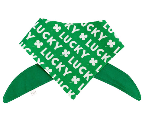 Baby Chicks Bandana