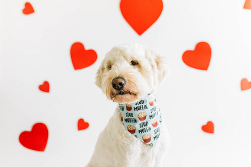 Stud Muffin Bandana (No Personalizing)