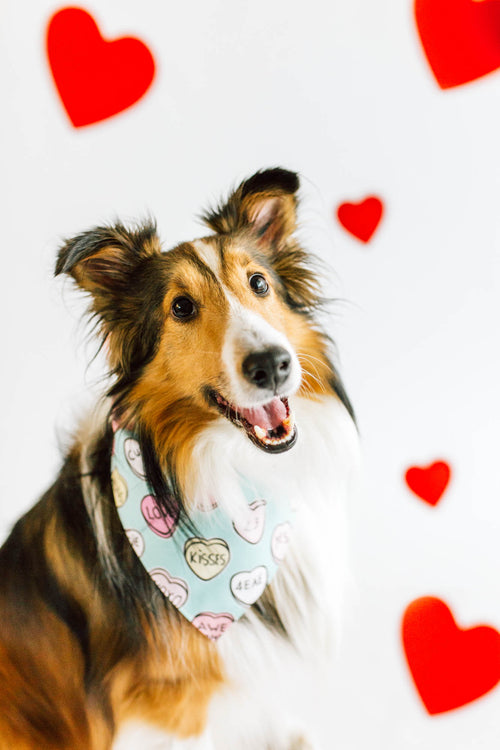 Conversation Hearts Bandana