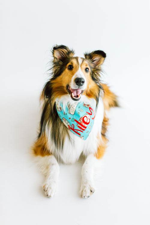 Let's Taco 'Bout It Bandana