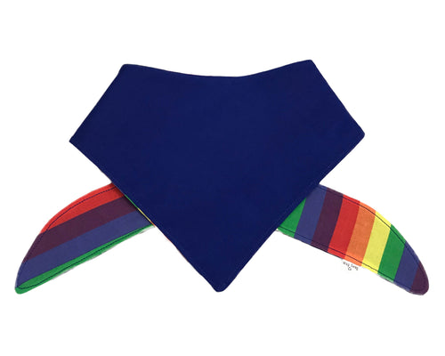Rainbow Bandana