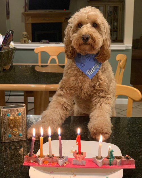 Hanukkah - Menorah, Dreidel, Star of David Bandana