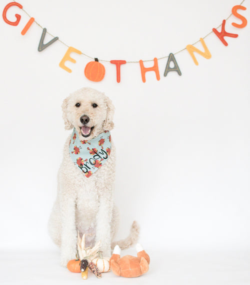 Gobble Till You Wobble Bandana