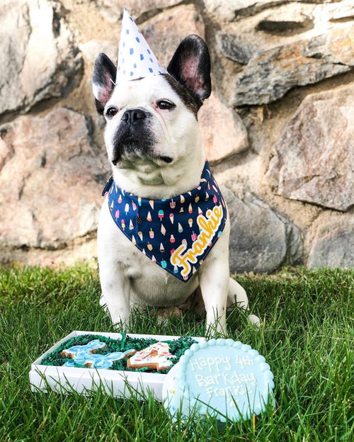 Scoop, there it is! Ice Cream Bandana