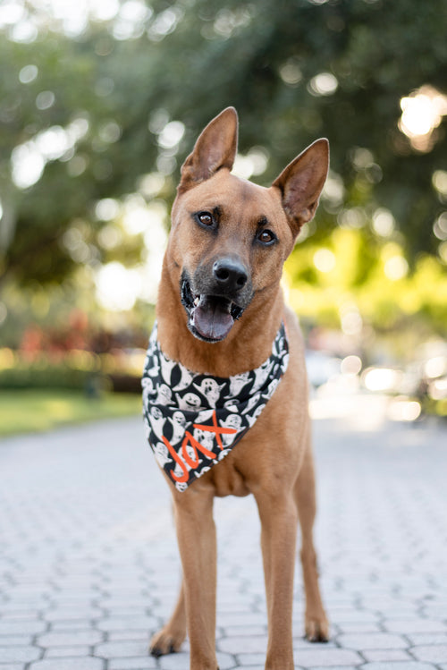 Ghosts Bandana