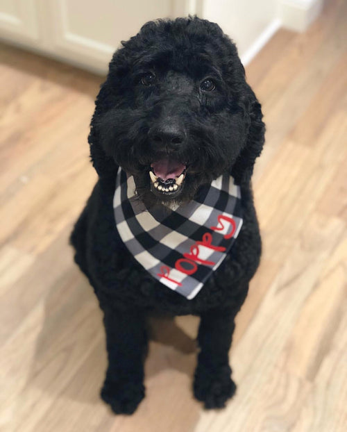 Black and White Plaid Bandana