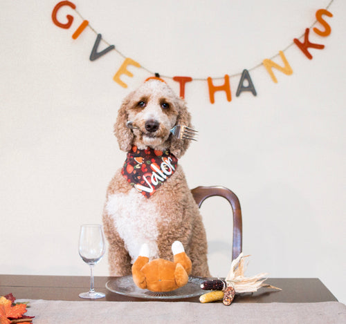 Winner, Winner Turkey Dinner Bandana