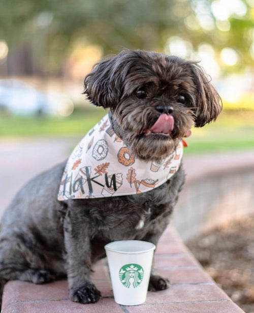 Pupkin Spice Bandana | Pumpkin Spice