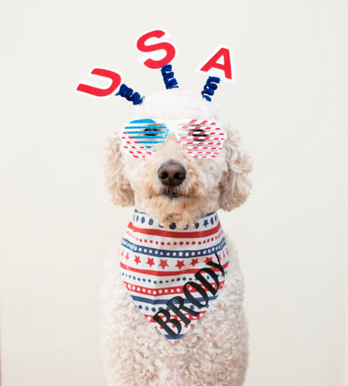 Stars And Stripes Bandana