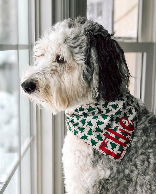 Rockin' Around The Christmas Tree Bandana