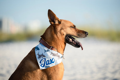 Jawsome Sharks Dog Bandana