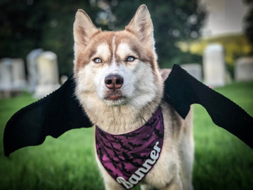 Bat Crazy Bandana