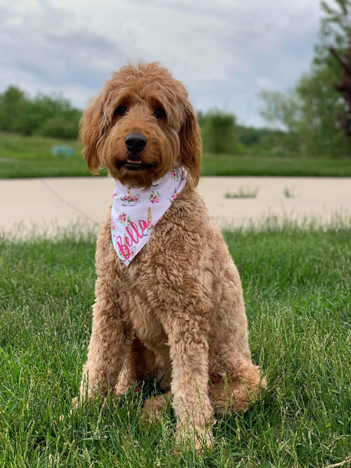 Floral Unicorn Bandana