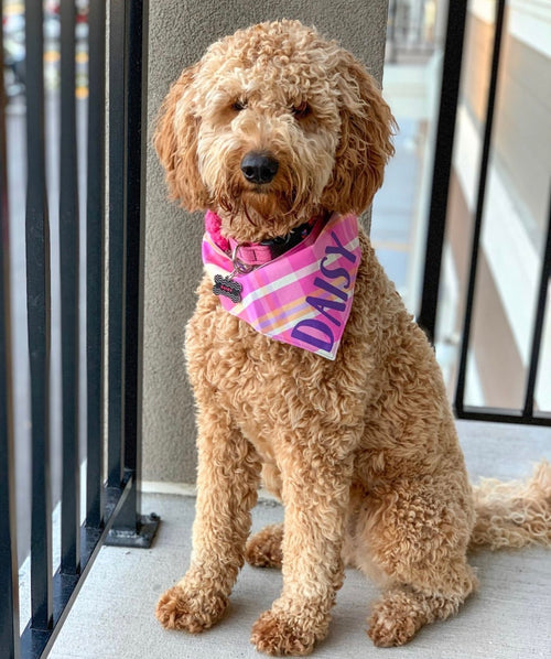 Spring Plaid Bandana
