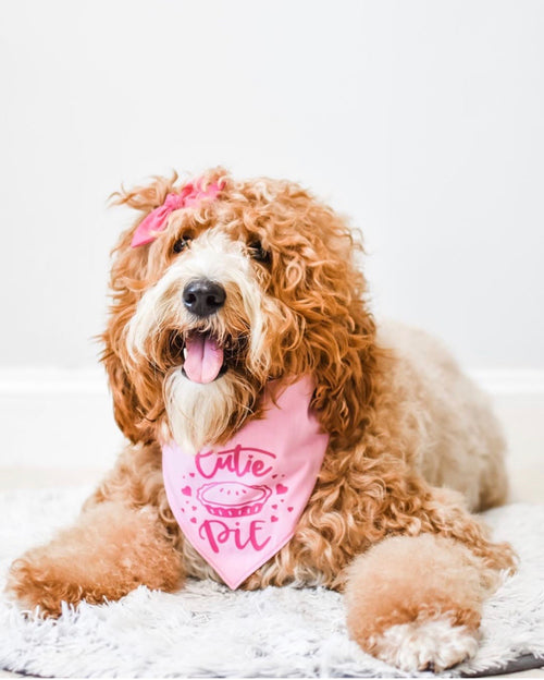 Dark Pink Hair Bow