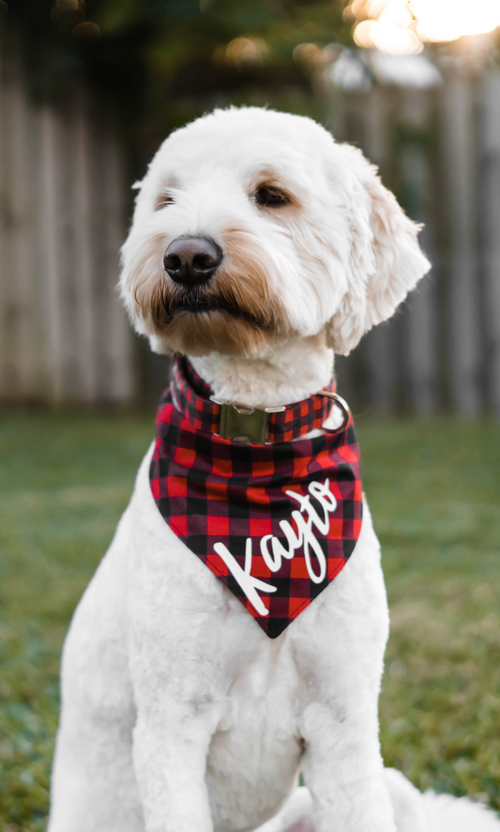 Lumberjack Plaid Bandana (Cotton)