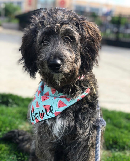 One in a Melon! Bandana