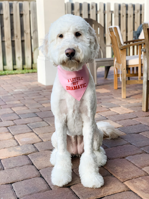 A Little Bit Dramatic Bandana (No Personalization)