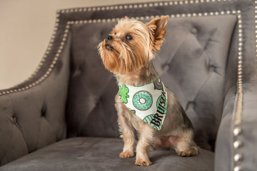 Irish Shenanigans Donut Bandana